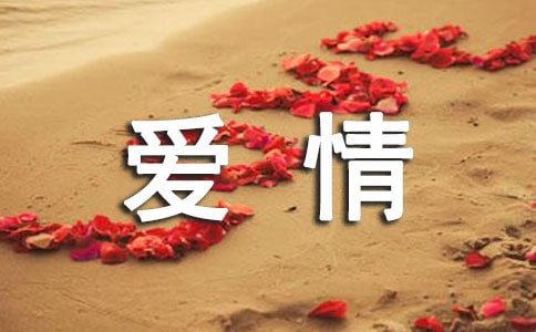 影视制作基本常识入门 从构想到成片的艺术与技术之旅